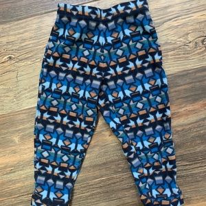 Patagonia Micro D Fleece pants
